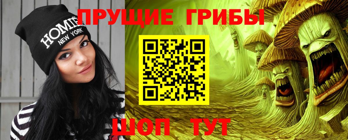 Псилоцибиновые грибы Psilocybe Батайск