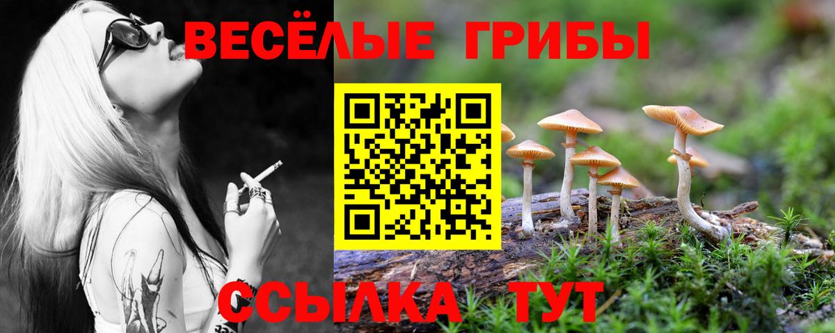Галлюциногенные грибы мухоморы  Вход с VPN  Батайск  Псилоцибиновые грибы мицелий 